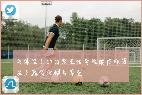 足球场上的打架王传奇谁能在绿茵场上赢得荣耀与尊重