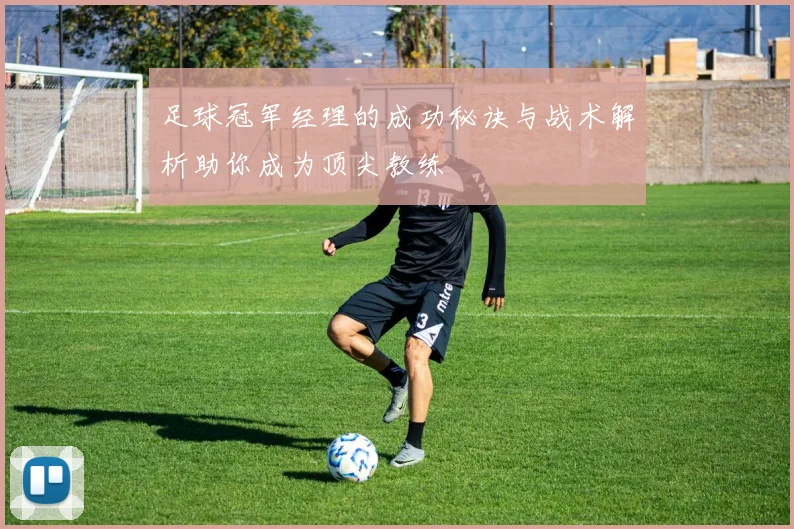 足球冠军经理的成功秘诀与战术解析助你成为顶尖教练